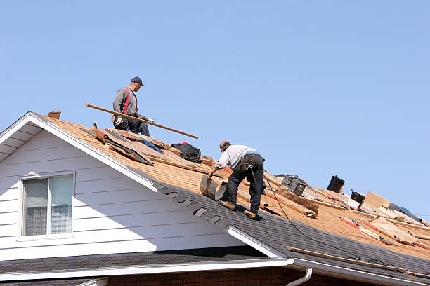 Best Roofing for New Construction  in Lovington, IL